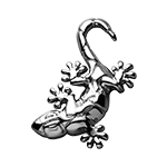 威兹曼标志图片